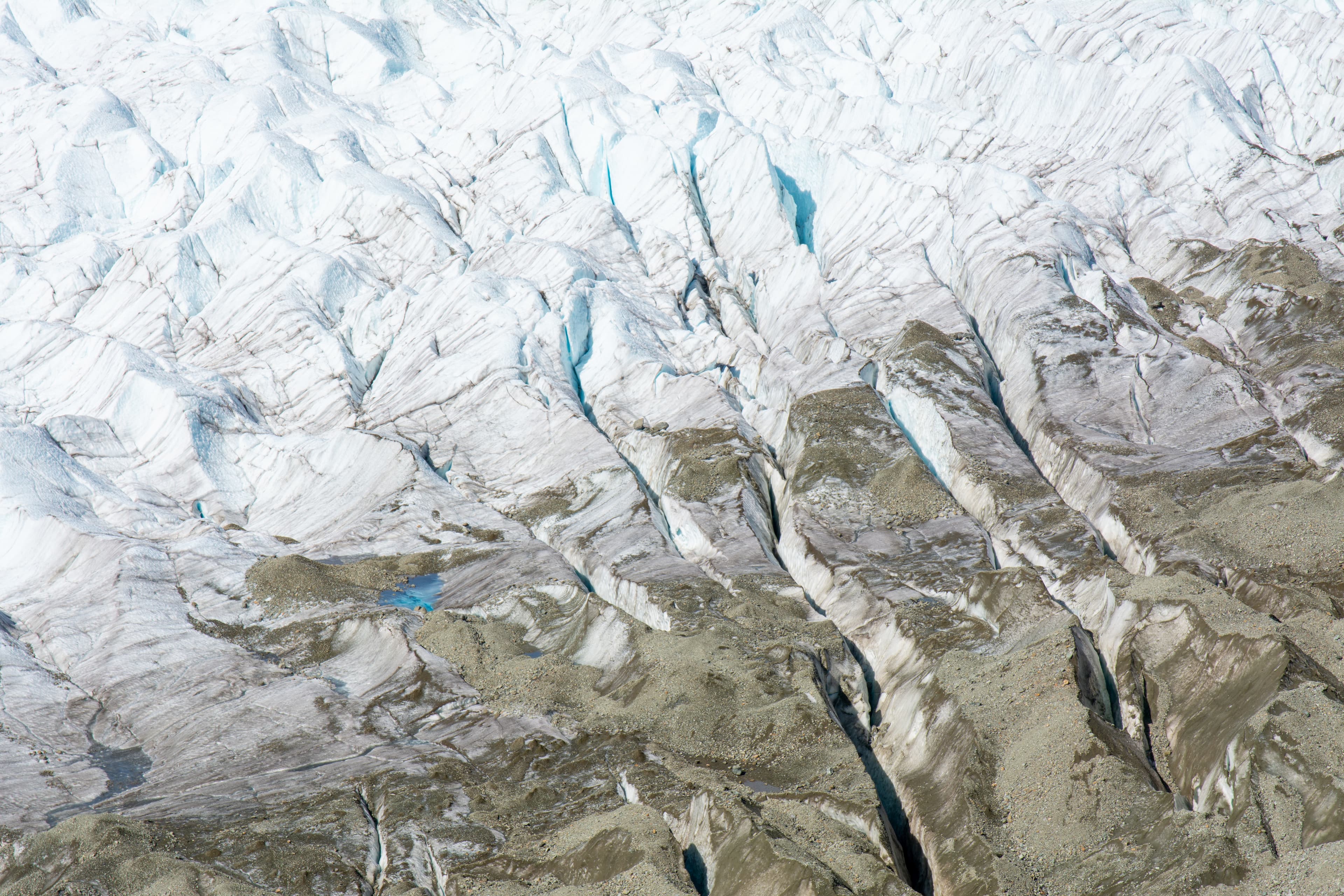 Never Trust the Model